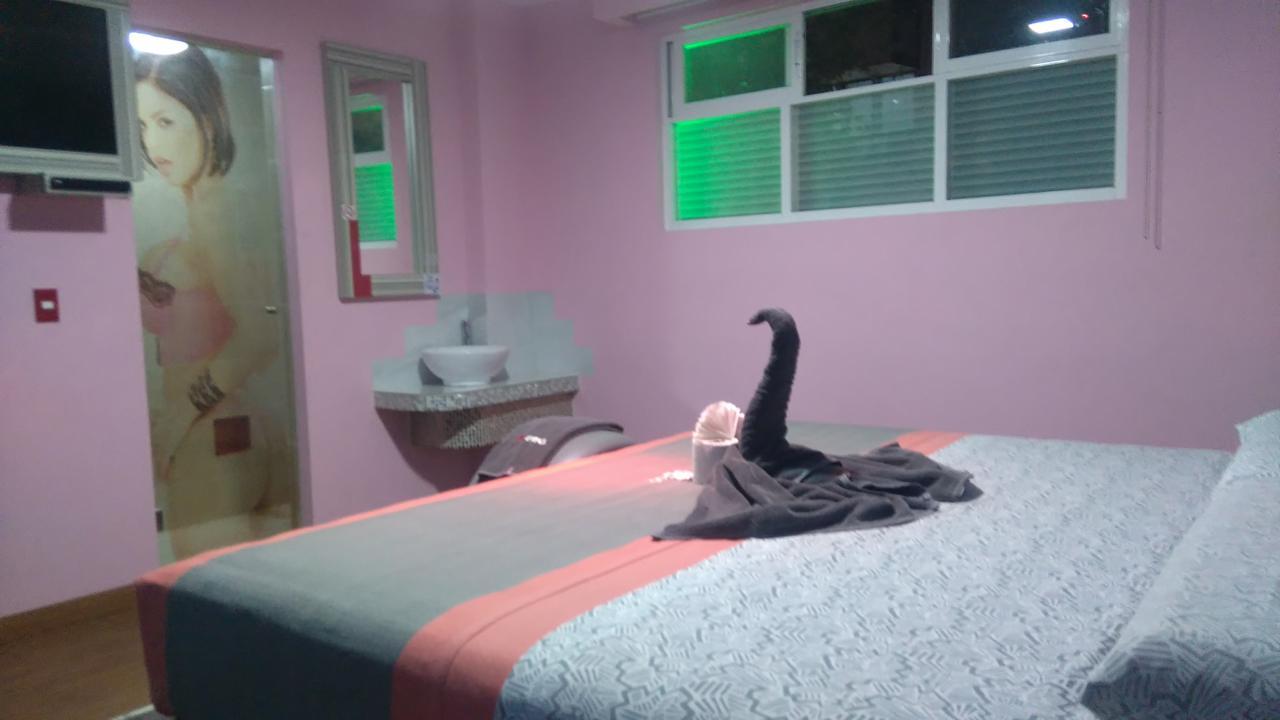 Hotel H - Eco Adults Only 墨西哥城 外观 照片